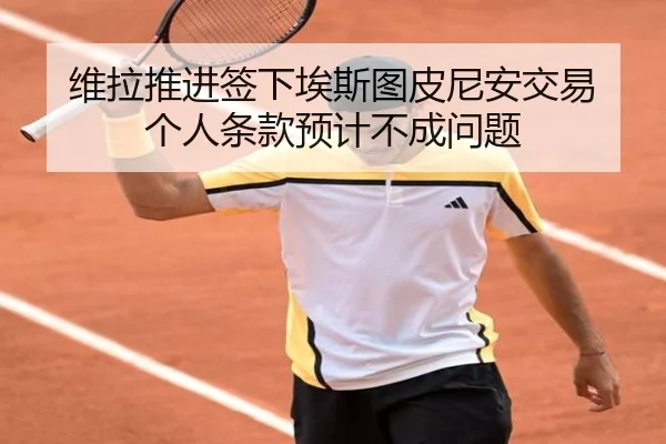 维拉推进签下埃斯图皮尼安交易 个人条款预计不成问题